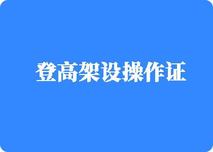 欧美被操网站登高架设操作证